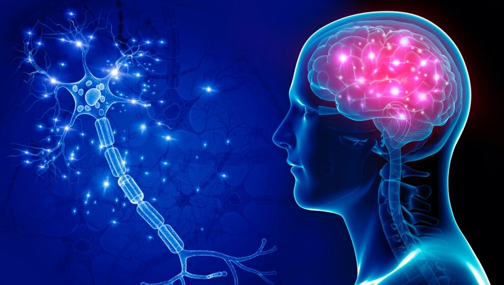 Brain scan comparison showing before and after Kriya Yoga practice