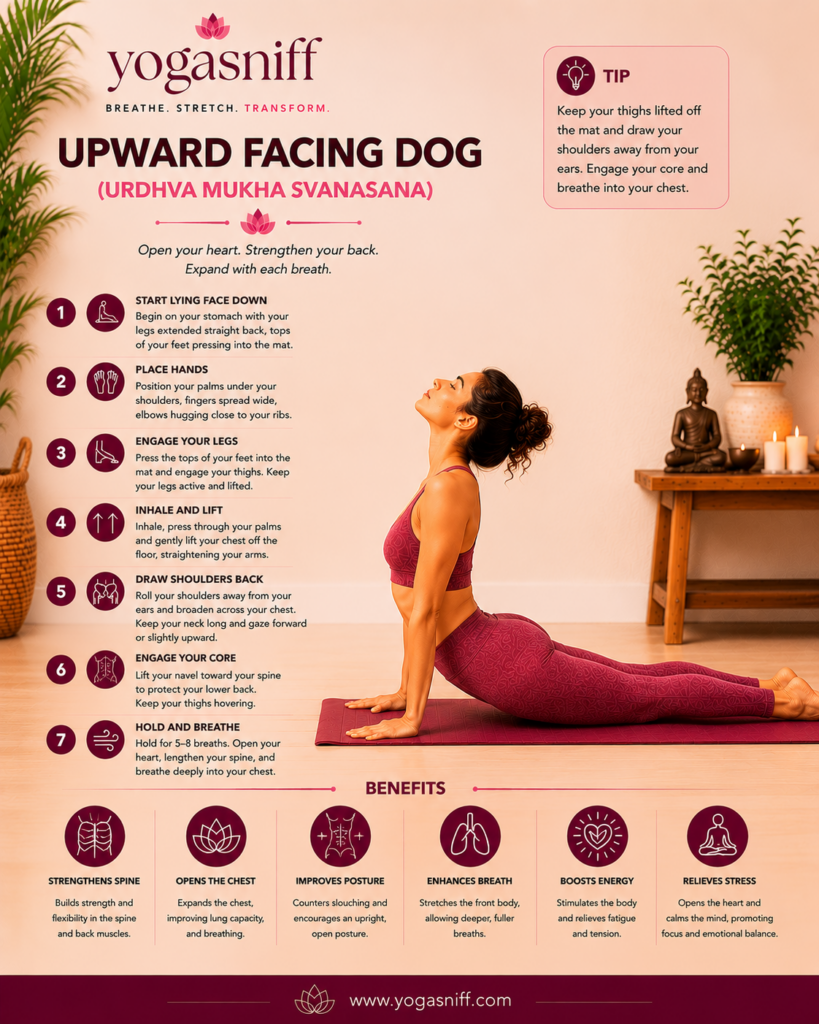 Upward Facing Dog (Urdhva Mukha Svanasana)